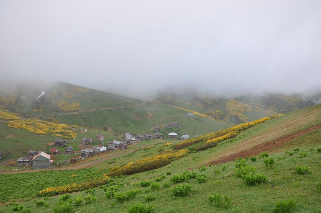 - სექტემბერი - გომისმთის ორდღიანი ტური