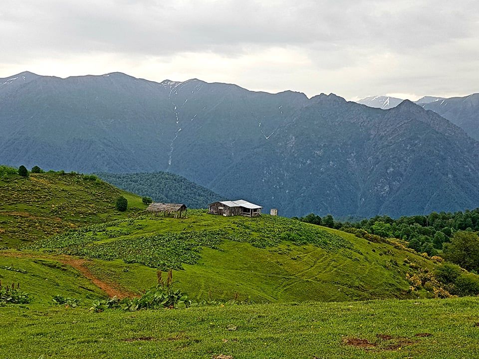 სექტემბერი - პანკისის ერთდღიანი ტური