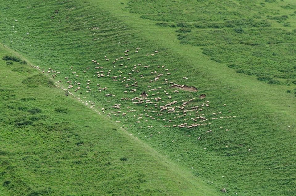 ხადას ხეობა