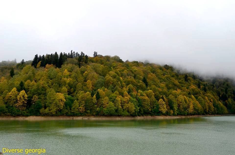 - ოქტომბერი - რაჭის ორდღიანი ტური