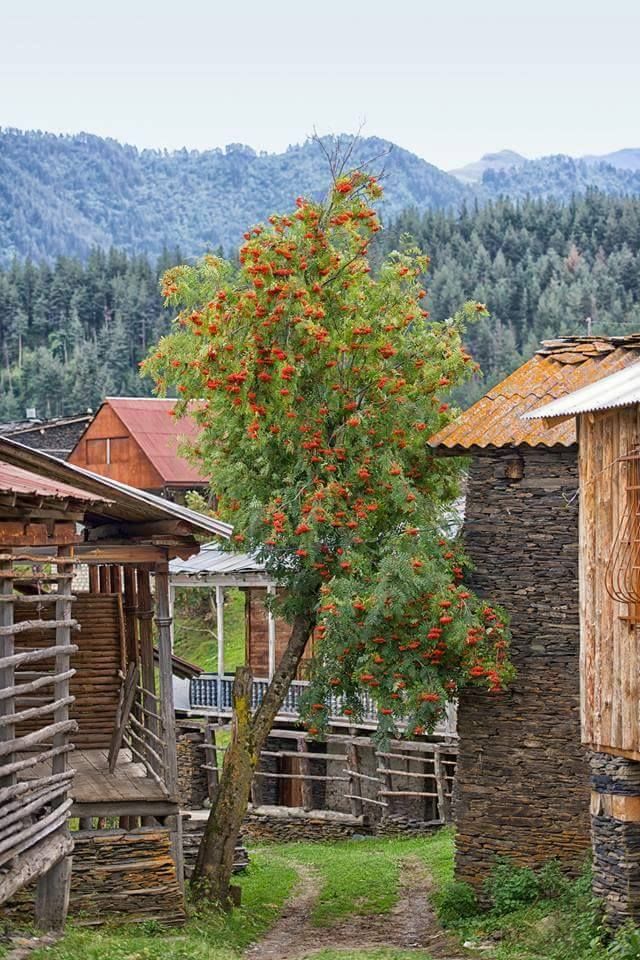 სექტემბერს დღიანი ტური თუშეთში