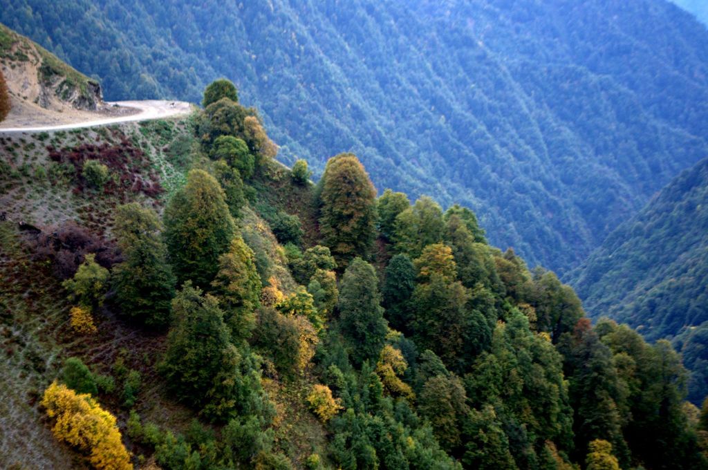 სექტემბერს დღიანი ტური თუშეთში