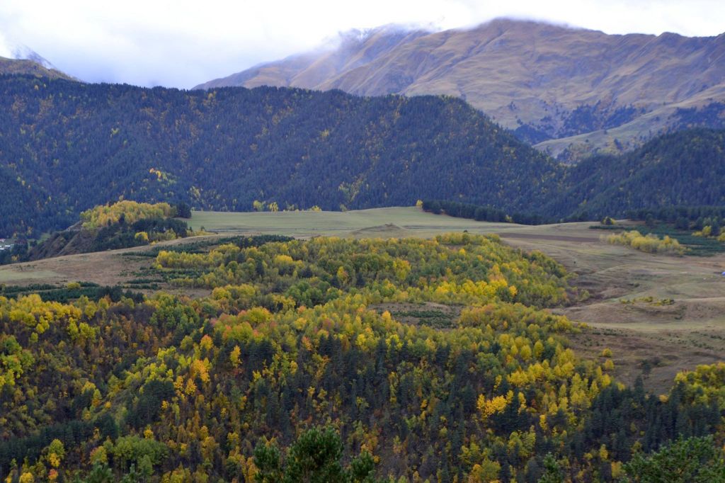 სექტემბერს დღიანი ტური თუშეთში