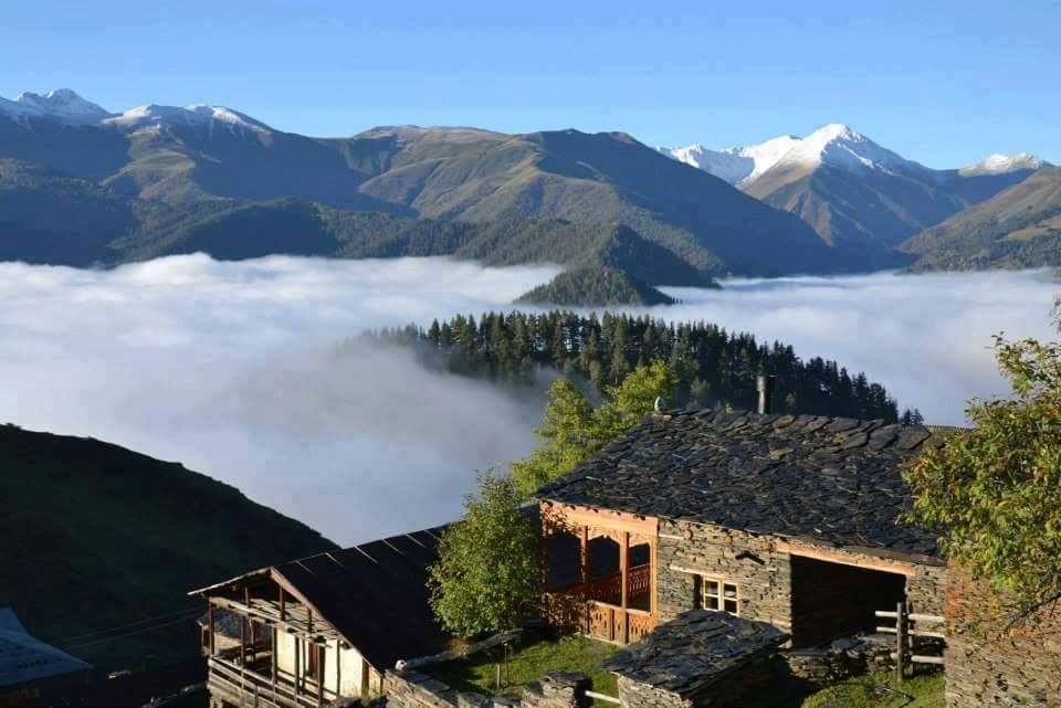 სექტემბერს დღიანი ტური თუშეთში