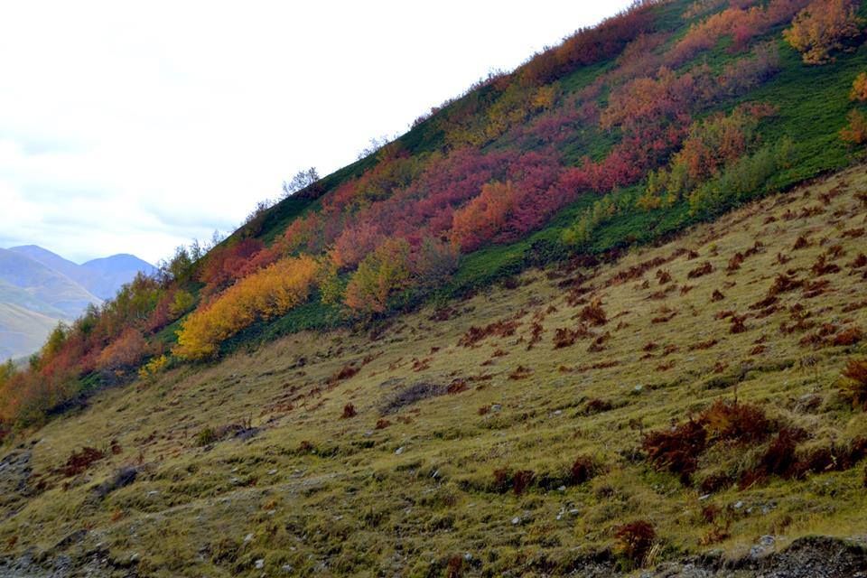 სექტემბერს დღიანი ტური თუშეთში