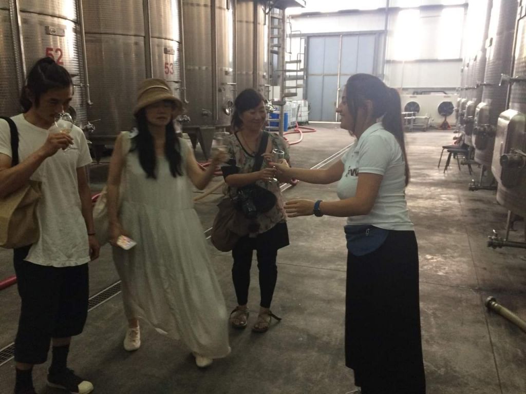 სიღნაღი - ლეგენდარული თავშესაფარი, წმინდანის მონასტერი, სამკურნალო წყარო, მსოფლიო ბრენდი  " ჭაჭა "  და  ქიზიყის სავიზიტო ბარათი ხაშლამა . . .