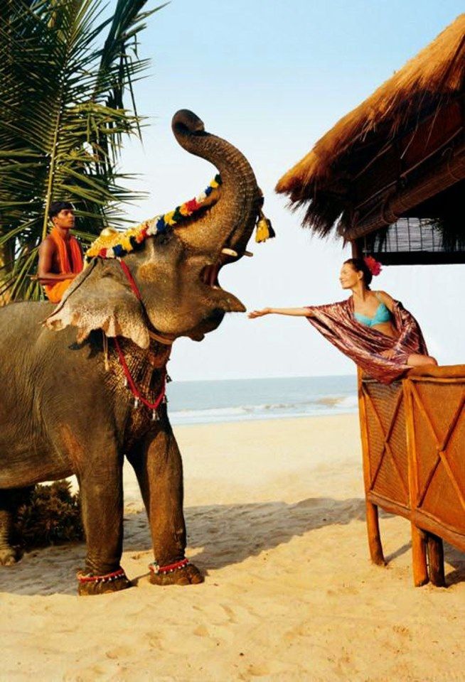 ინდოეთი / გოა