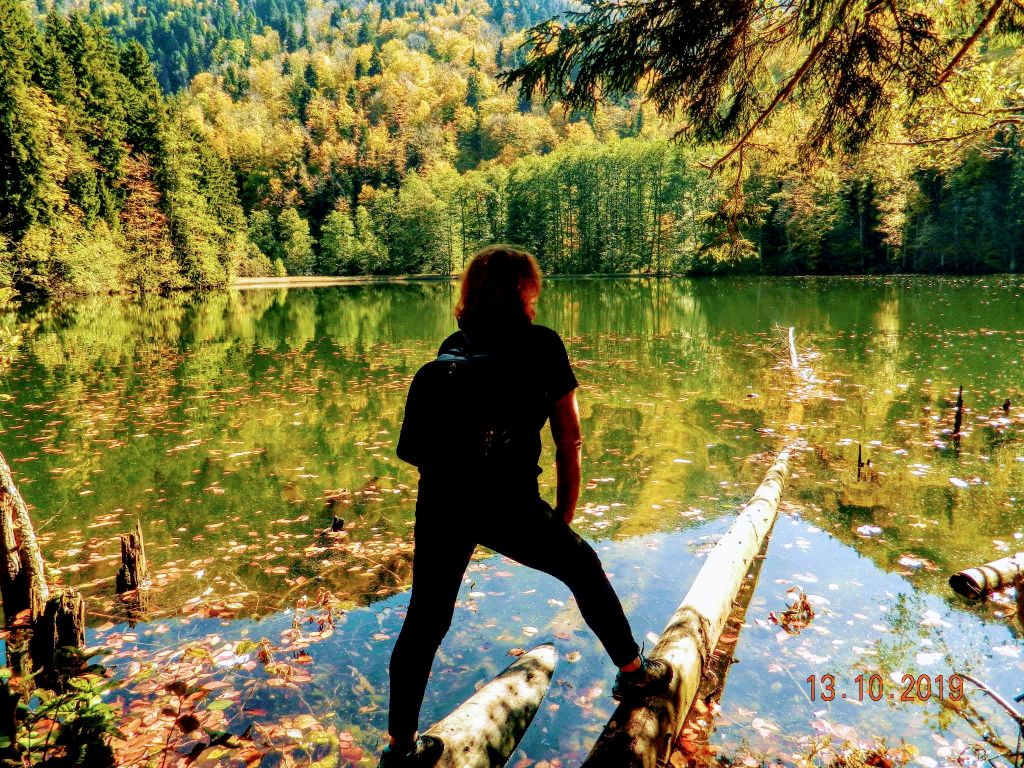 შემოდგომის ფერადი ძამას ხეობა, ბატეთის ტბა, ავაზაკის სახელობის ტაძარი, ორთუბანი, მზოვრეთი, სარკინეთი, ყინწვისი ნოემბერს!