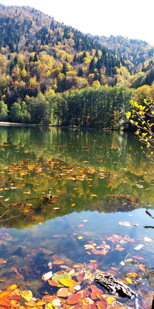 შემოდგომის ფერადი ძამას ხეობა, ბატეთის ტბა, ავაზაკის სახელობის ტაძარი, ორთუბანი, მზოვრეთი, სარკინეთი, ყინწვისი ნოემბერს!
