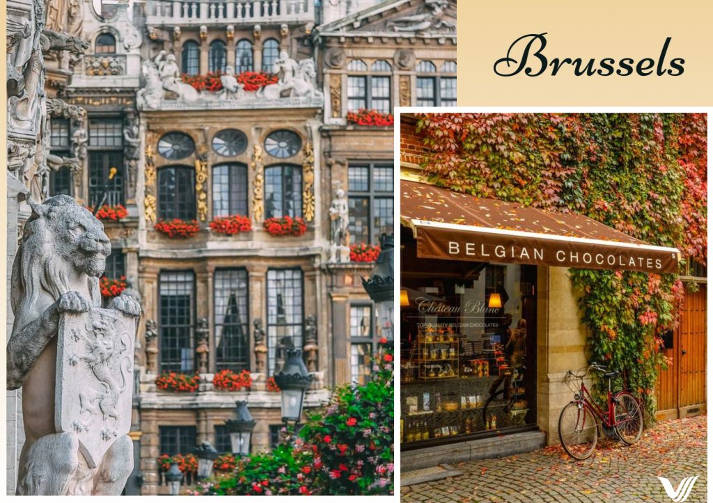 ბრიუსელი სულ რაღაც  !!