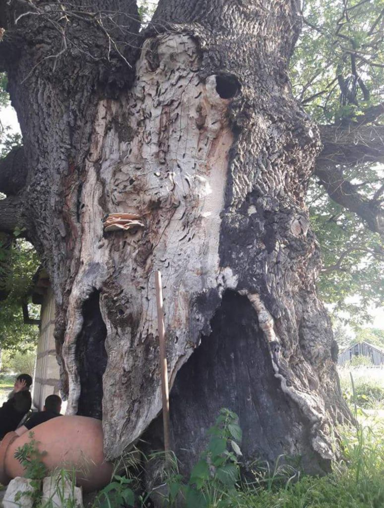 ტური რომელიც არასდროს დაგავიწყდებათ! მზოვრეთის ციხე და ძამის ხეობის მონასტრები