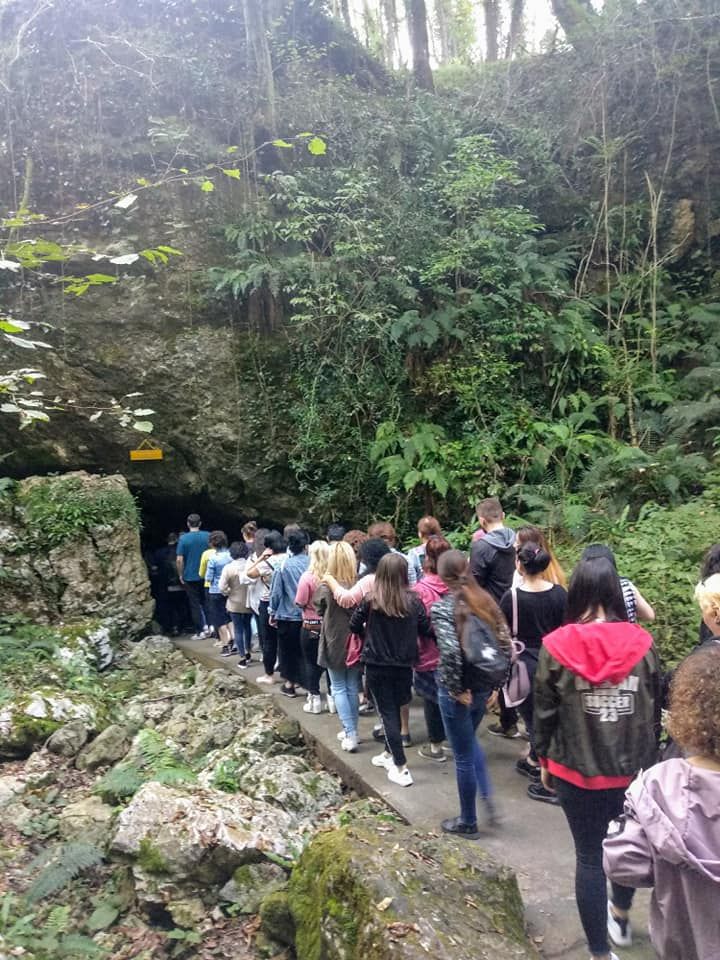 კორპორაციული ტურები /ექსკურსიები/დაკვეთები/ ნებისმიერი მიმართულებით