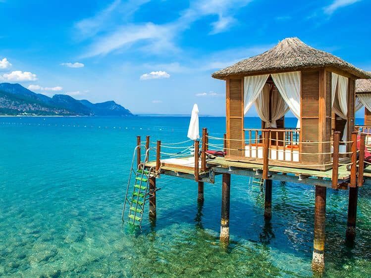 განსაკუთრებული ფასდაკლება სეზონის დასასრულს 