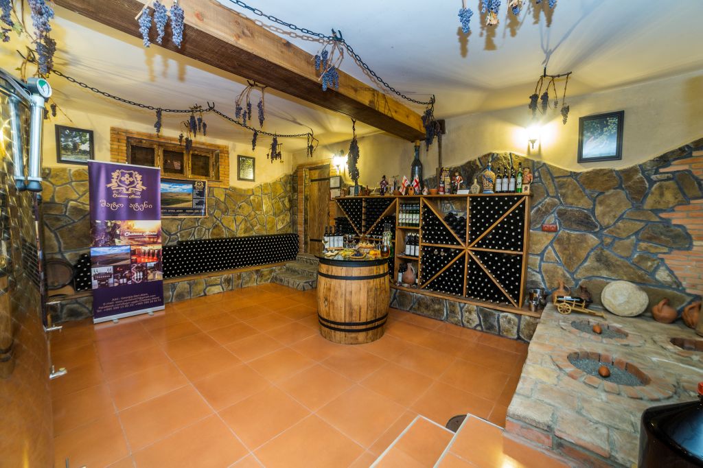 Wine Tour in Chateau Ateni.Gori.