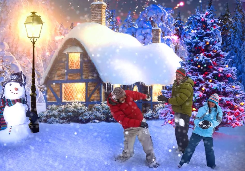 ქირავდება კოტეჯები ბაკურიანში