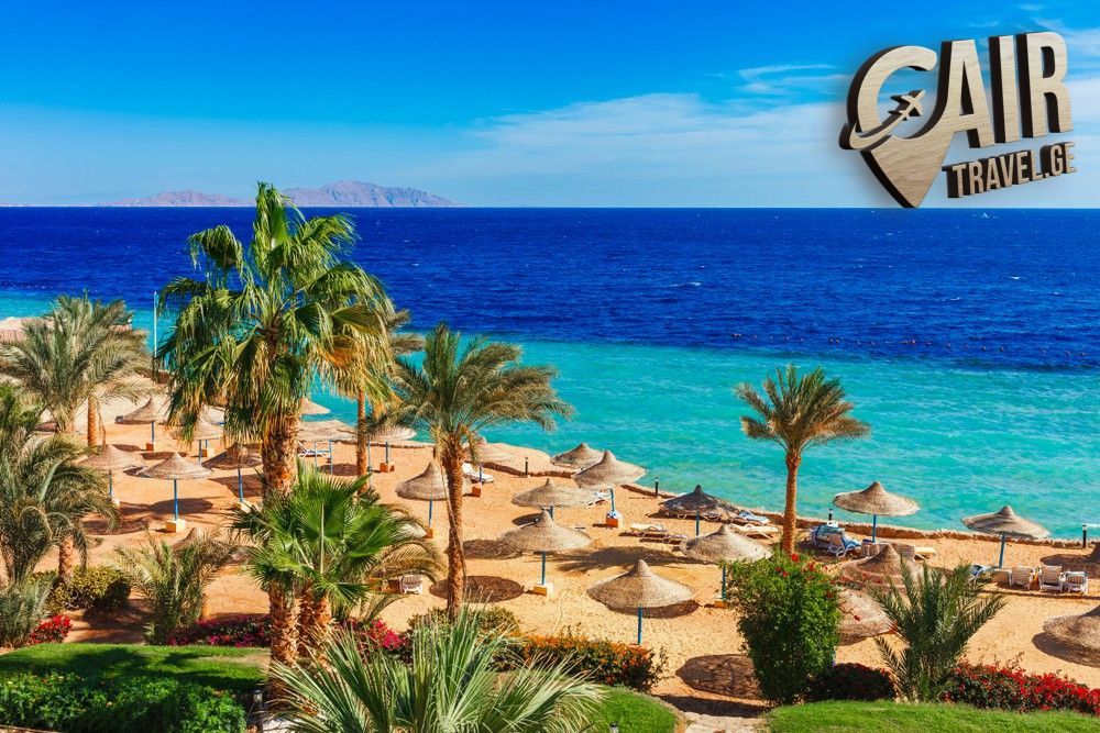 ანი სასაჩუქრე ვაუჩერი ეგვიპტის ტურებზე