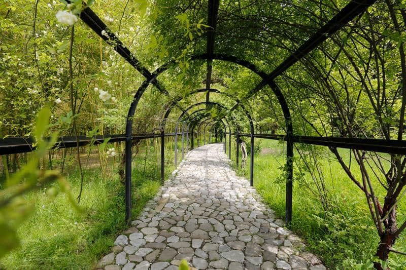 ალავერდობის ტური