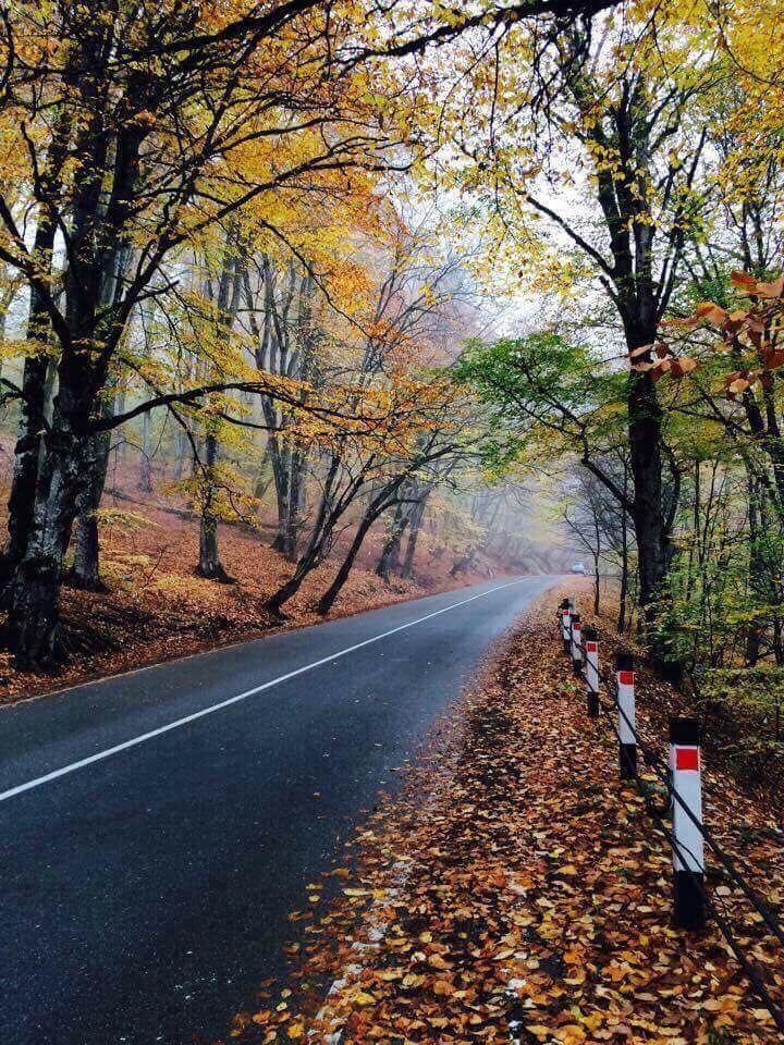 ალავერდობის ტური