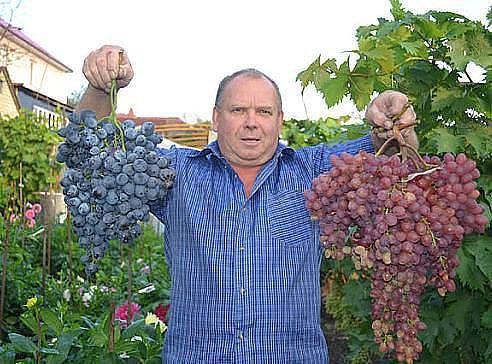 თელავი - წინანდალი - გრემი - ნეკრესი - ილიას ტბა - ღვინის გვირაბი - კორპორაცია ქინძმარაული . . .