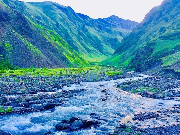 გუდამაყარი