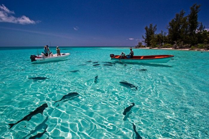 სეიშელის კუნძულები