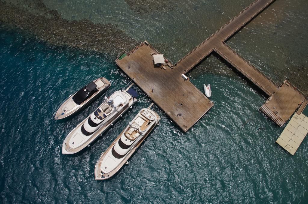 აქცია შარმ ელ შეიხზე