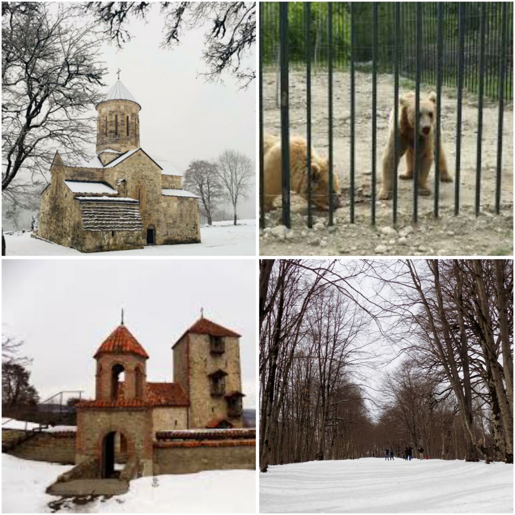 შემოდგომის ფერადი საბადურის ტყე, მამკოდა,, დათვების თავშესაფარი, ცხვარიჭამია, კევლიანის "ბნელა საყდარი", სიონი , ნადოკრა, ფუძნარი, ჟინვალი, ნოემბერს!!