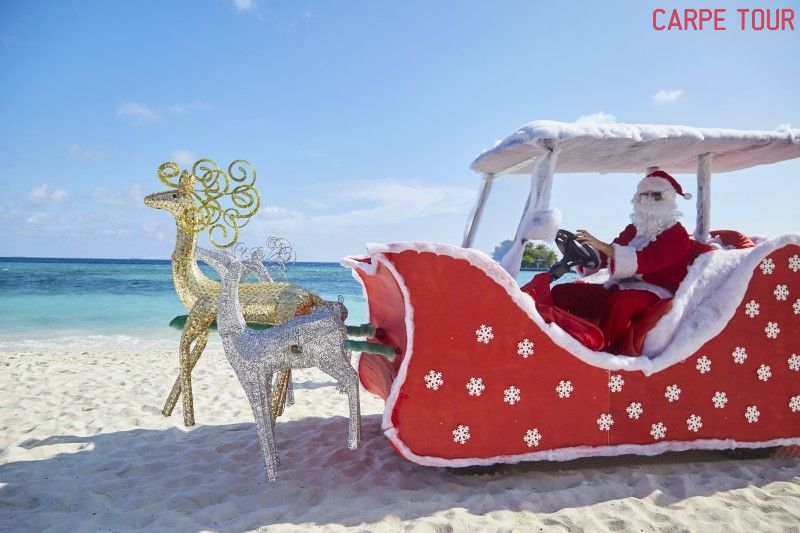 შეხვდით ახალ წელს წითელი ზღვის სანაპიროზე !