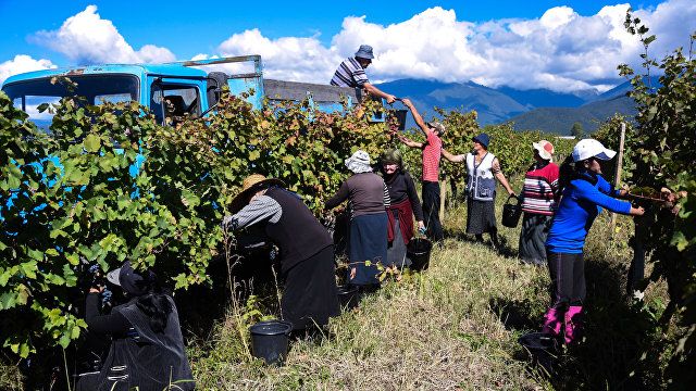 ერთდღიანი ღვინის ტური კახეთში : თელავი, წინანდალი, გრემი, ნეკრესი, ილიას ტბა, ღვინის გვირაბი, კორპორაცია ქინძმარაული . . .