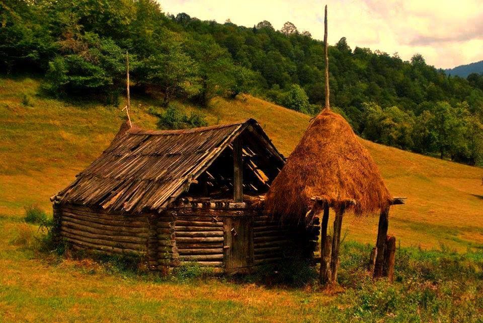 სახულარი შემოდგომის სახლი