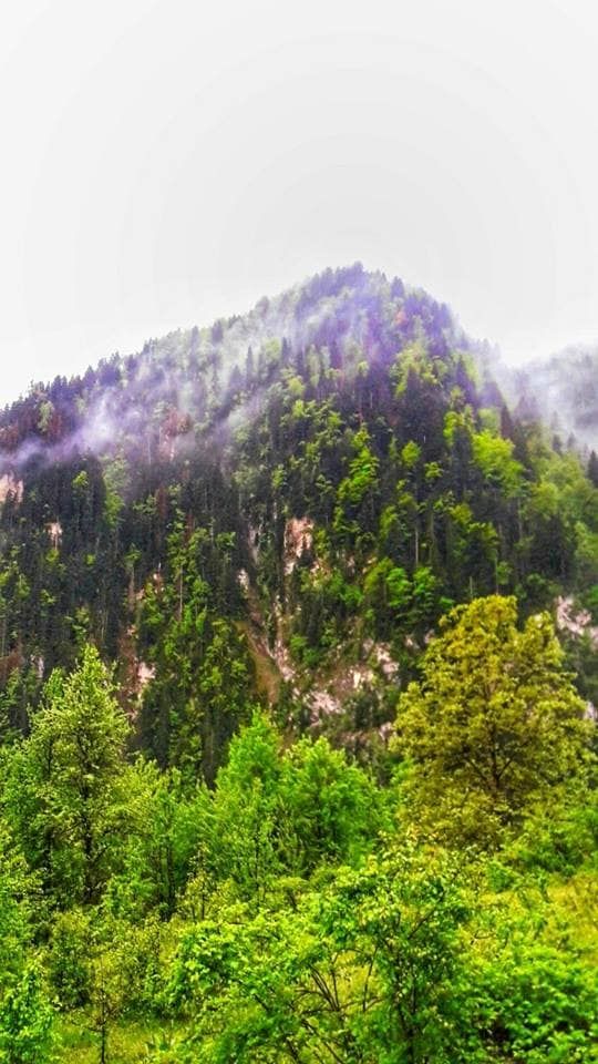 სახულარი შემოდგომის სახლი