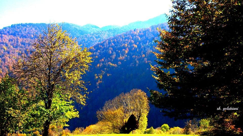 სახულარი შემოდგომის სახლი