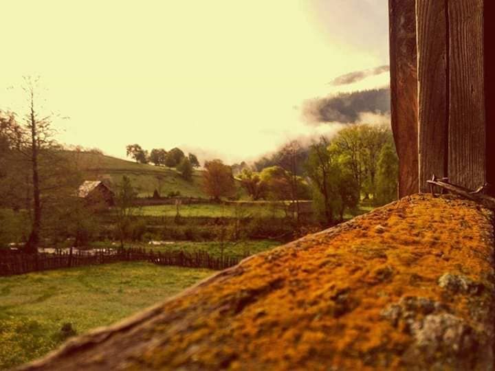 სახულარი შემოდგომის სახლი