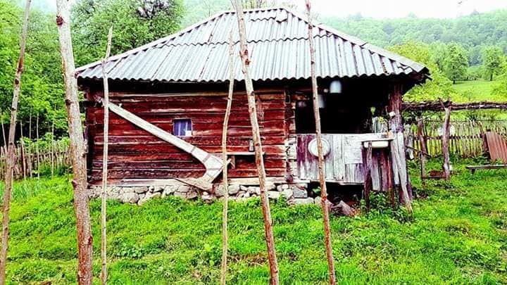 სახულარი შემოდგომის სახლი