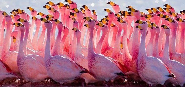 ზაფხული ნოემბერში კვიპროსზე !