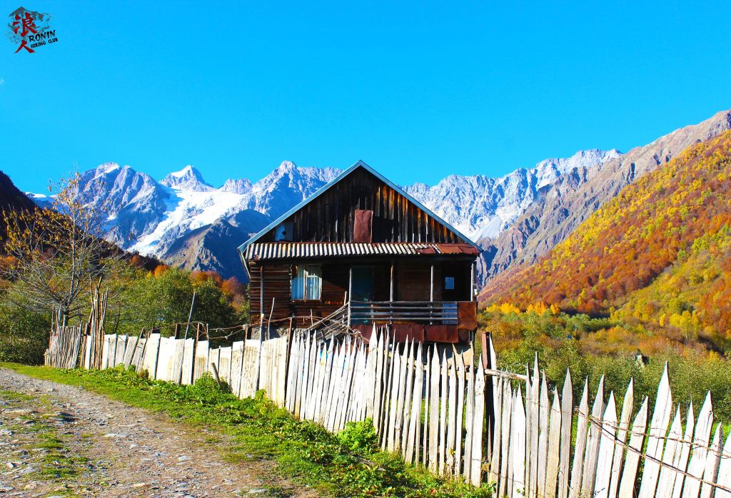 მოირონინე შემოდგომისფერი რაჭა - ცხრაჯვარი, ღები, გონა