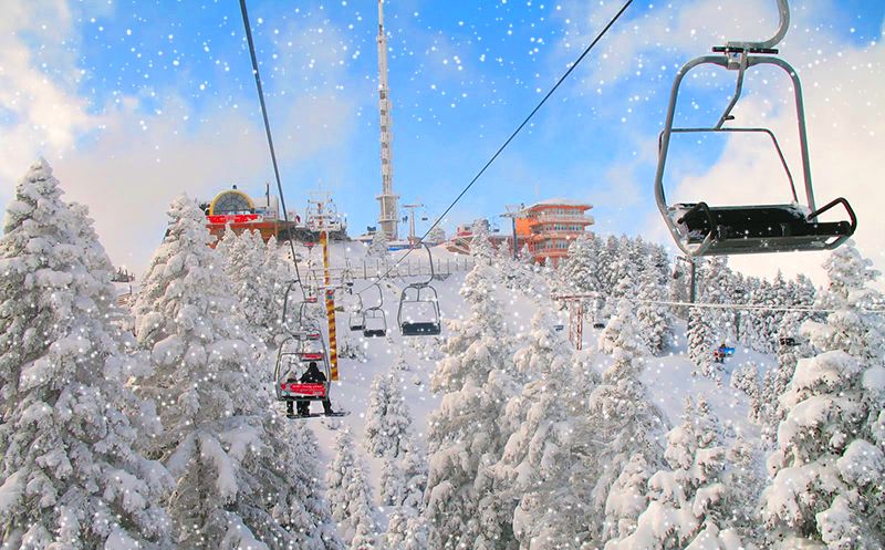 ვიპ ბორჯომი - ბაკურიანი borjomi-bakuriani