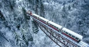 ვიპ ბორჯომი - ბაკურიანი borjomi-bakuriani