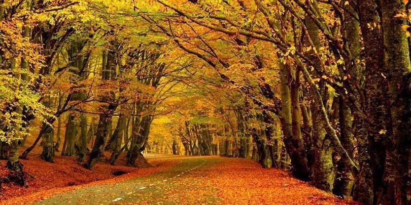 საბადურის ტყე, თიანეთი, უჯარმა ერთ დღიანი ტური