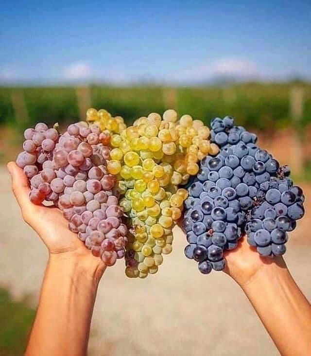 ДВУХДНЕВНАЯ ЭКСКУРСИЯ В КАХЕТИЮ