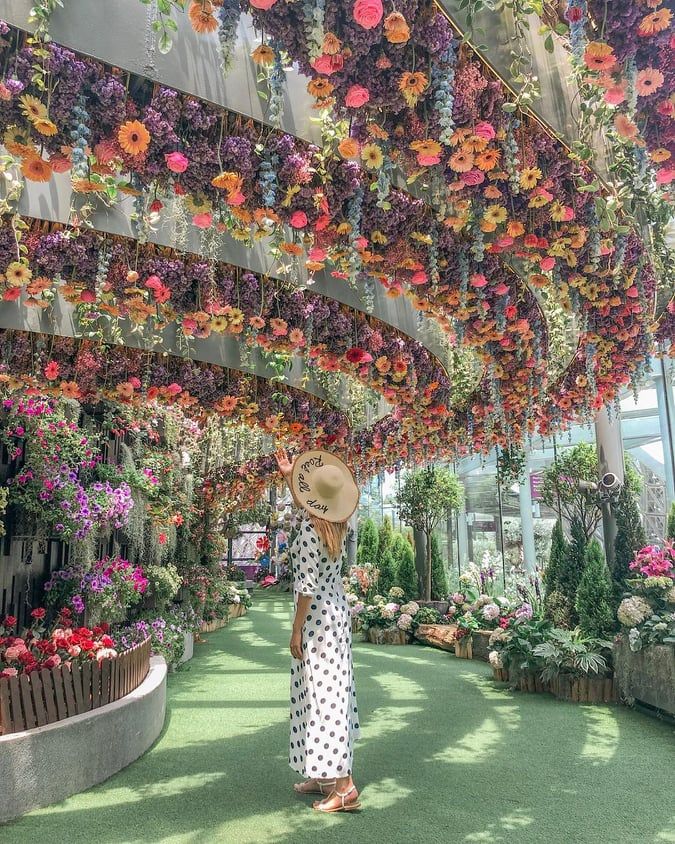 სინგაპური