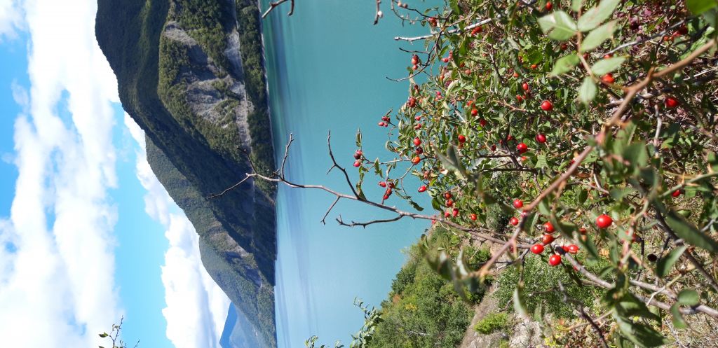 ტურები საქართველოში ნებისმიერი მიმართულებით