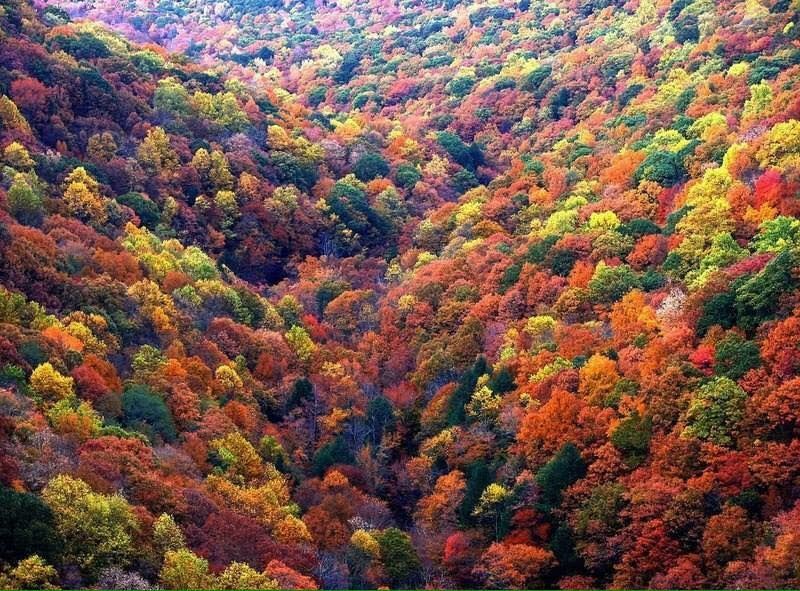 შემოდგომა რაჭაში: ცხრაჯვარი, შაორი, ნიკორწმინდა და ა. შ.