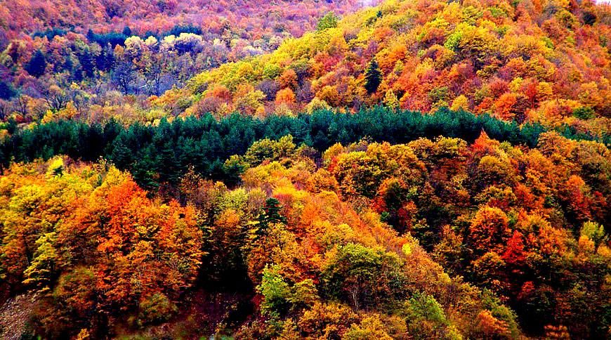 შემოდგომა რაჭაში: ცხრაჯვარი, შაორი, ნიკორწმინდა და ა. შ.