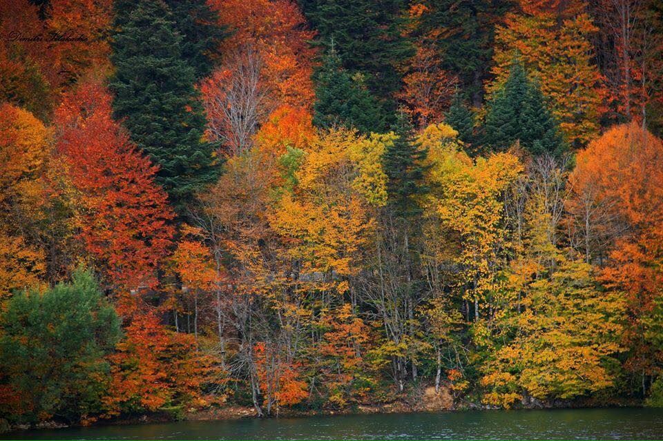 შემოდგომა რაჭაში: ცხრაჯვარი, შაორი, ნიკორწმინდა და ა. შ.