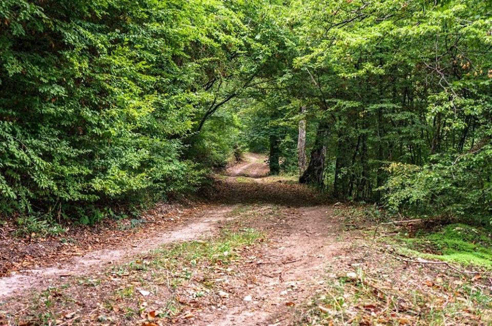 gudarekhi. jeep tours