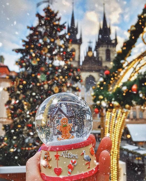 პარიზი ♥ მილანი ♥ ვენა ♥ პრაღა !