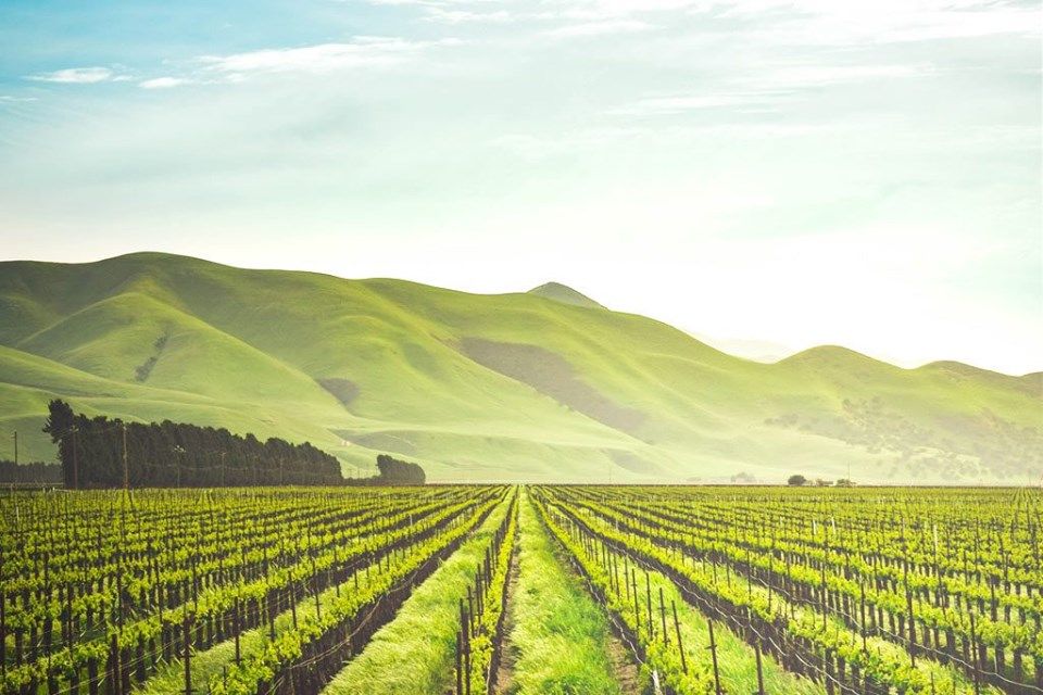 ღვინის ტური საფრანგეთში!სრული საგზურის ღირებულება !