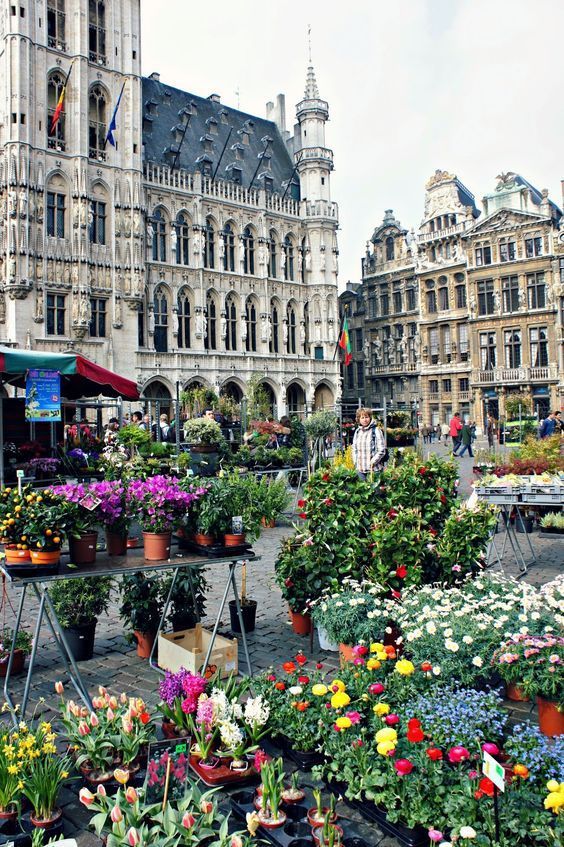 ბრიუსელი