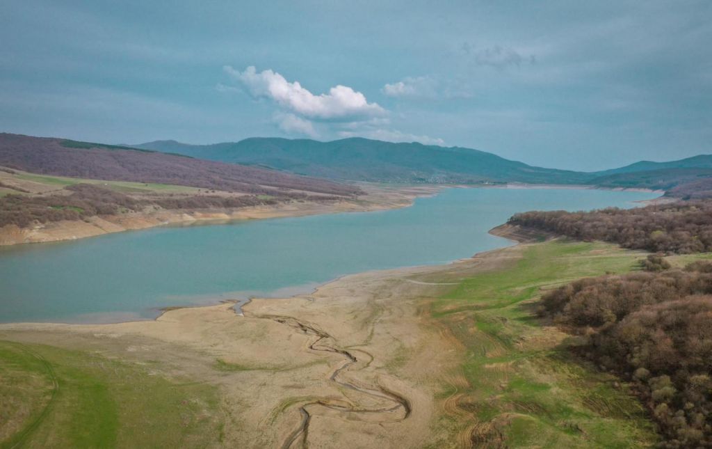 ტური საბადურის ტყეში